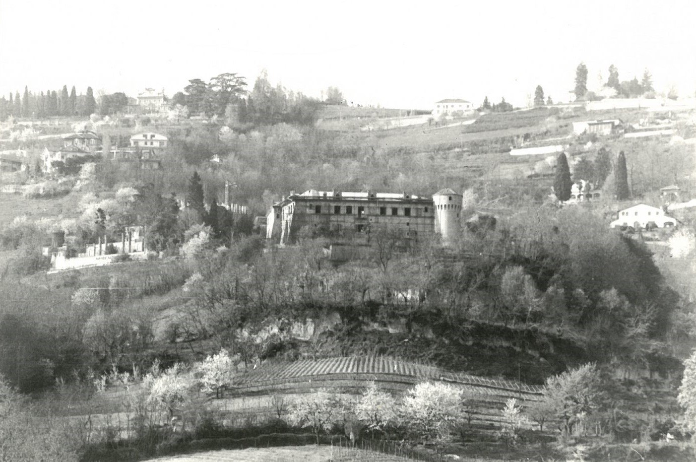 Parchi e giardini storici: dalla trazione al giardino